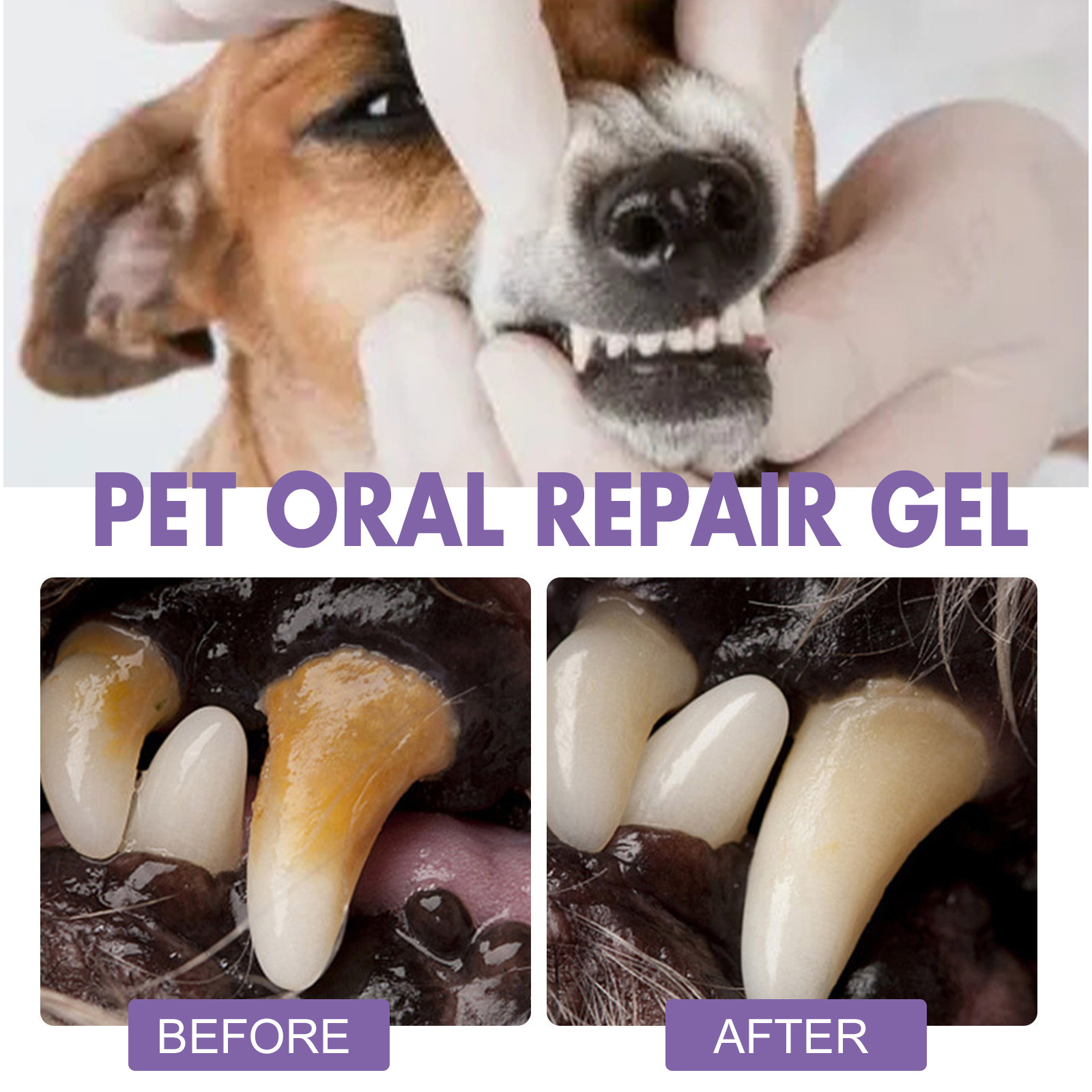 Pet Oral Repair Gel Puppy Tart - đánh giá và giá Teeth Whitening Gels Used By Dentists