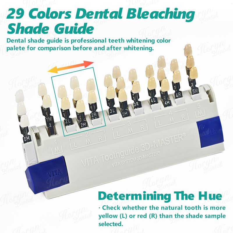Vita 3D Master Dental Lab Blea - đánh giá và giá Teeth Whitening Gel For Trays